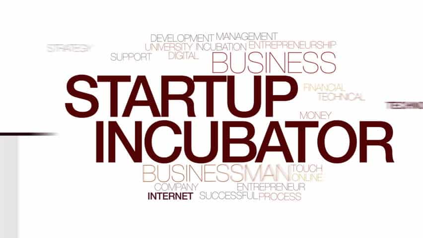 best incubator startup
